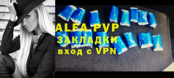 гашик Гусь-Хрустальный