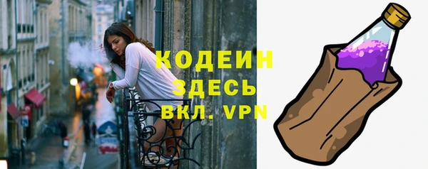 гашик Гусь-Хрустальный