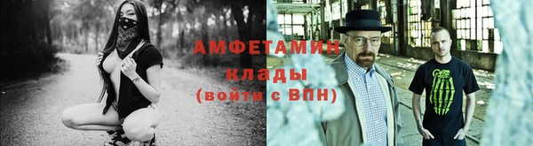 гашик Гусь-Хрустальный