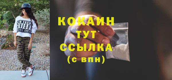 PSILOCYBIN Гусев