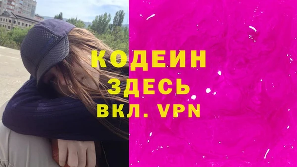 гашик Гусь-Хрустальный