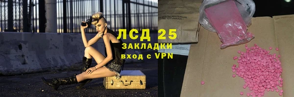 PSILOCYBIN Гусев