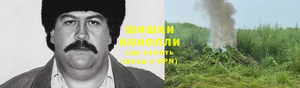 PSILOCYBIN Гусев