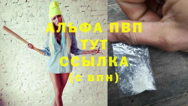 гашик Гусь-Хрустальный