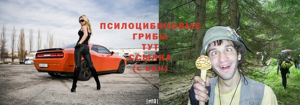 меф Гусиноозёрск