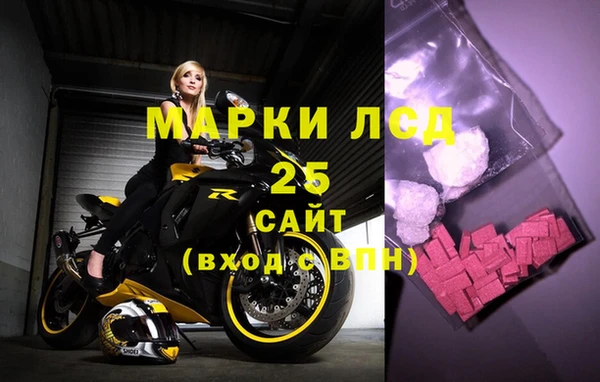 гашик Гусь-Хрустальный