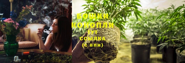 PSILOCYBIN Гусев