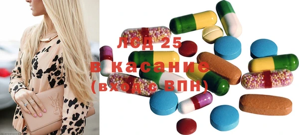 гашик Гусь-Хрустальный