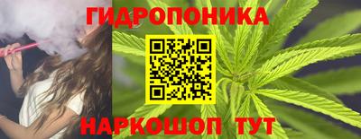 прущие грибы Обнинск