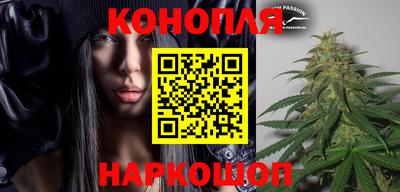 прущие грибы Обнинск