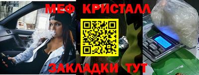 прущие грибы Обнинск