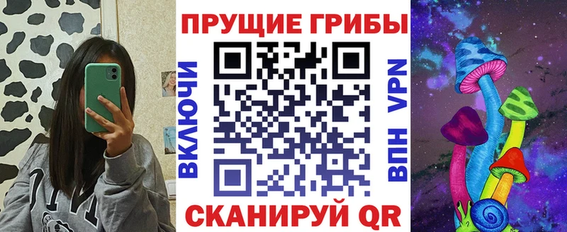 Купить где  Дагестанские Огни  Галлюциногенные грибы Psilocybe 
