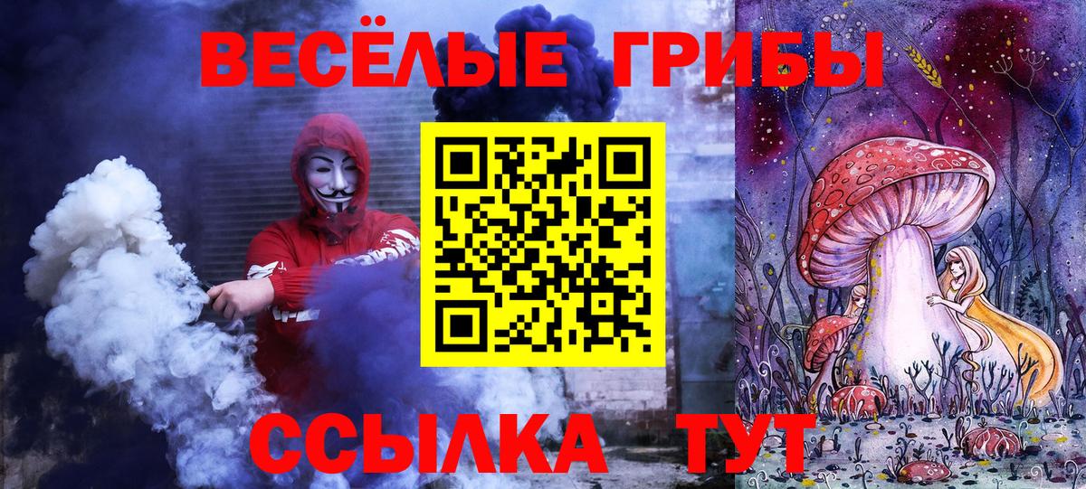 Дагестанские Огни  Псилоцибиновые грибы Psilocybe  Вход с VPN 
