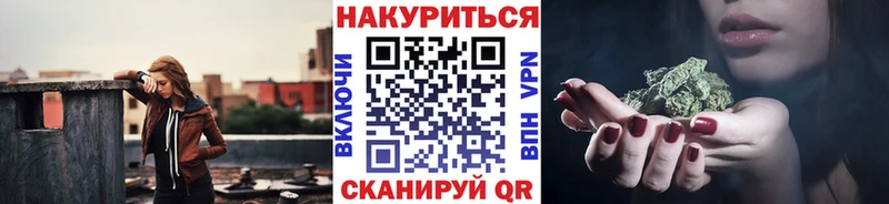 Купить где  Дагестанские Огни  Бошки Шишки ГИДРОПОН 