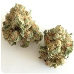 Шишки "White Widow"  (Белая вдова)  Гидропоника -  Бошка VHQ в Дагестанских Огнях